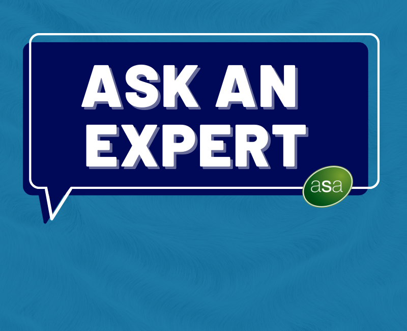 Ask an Expert